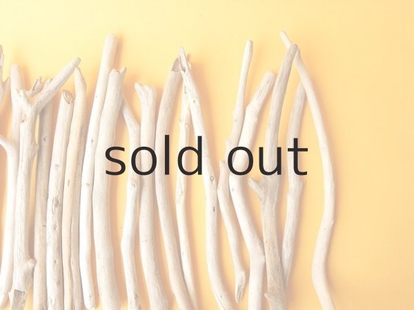 画像3: 小枝流木セット (3)