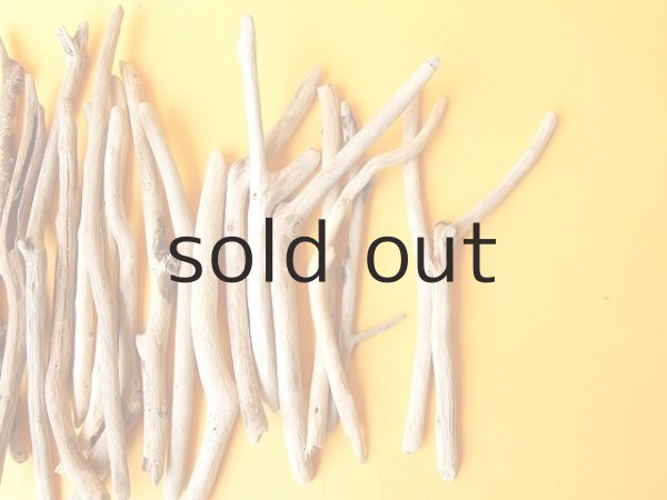 画像3: 小枝流木セット (3)