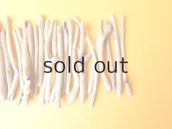 画像3: 小枝流木セット (3)