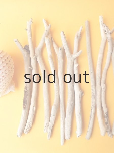 画像2: 小枝流木セット (2)