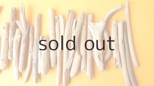 画像3: 小枝流木セット (3)