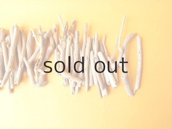 画像3: 小枝流木セット (3)