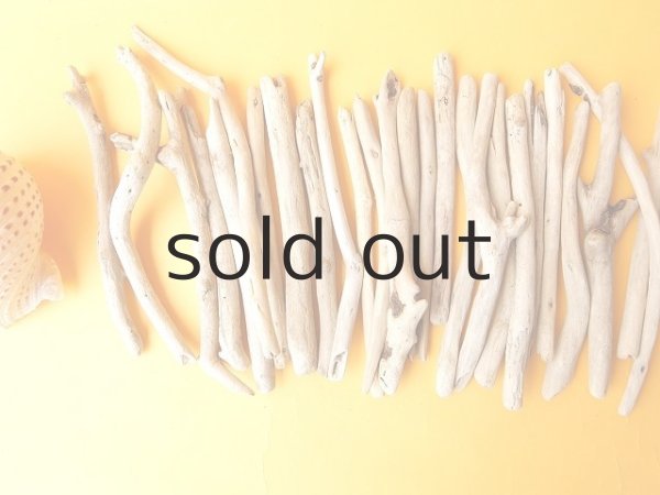 画像2: 小枝流木セット (2)