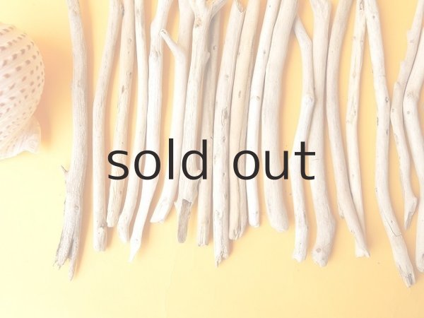 画像2: 小枝流木セット (2)