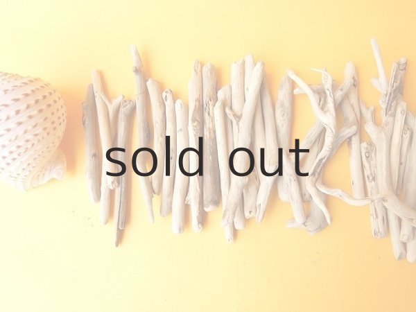 画像2: 小枝流木セット (2)