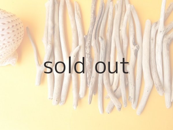 画像2: 小枝流木セット (2)