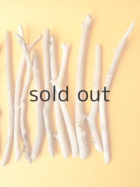 画像3: 小枝流木セット (3)