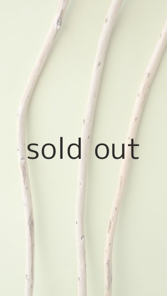 画像3: 棒流木セット (3)