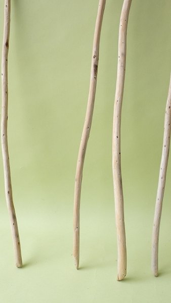 画像2: 棒流木セット (2)