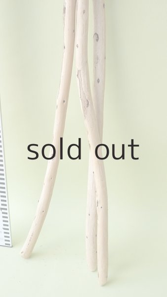 画像5: 棒流木セット (5)