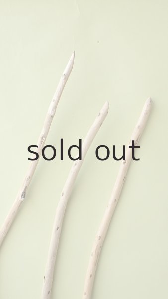 画像4: 棒流木セット (4)