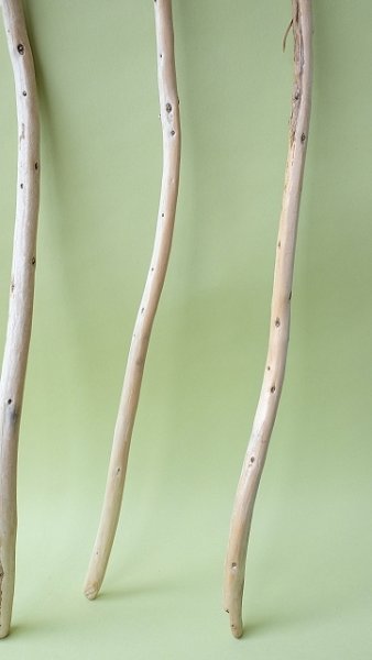 画像3: 棒流木セット (3)