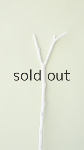 画像4: 枝流木 (4)