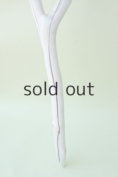 画像2: 枝流木 (2)