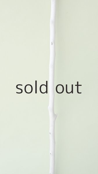 画像3: 枝流木 (3)