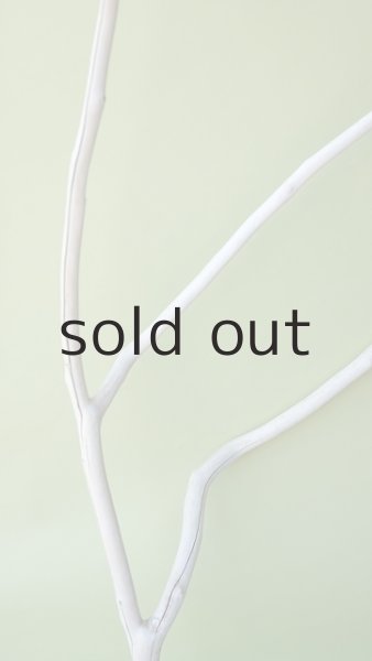 画像3: 枝流木 (3)