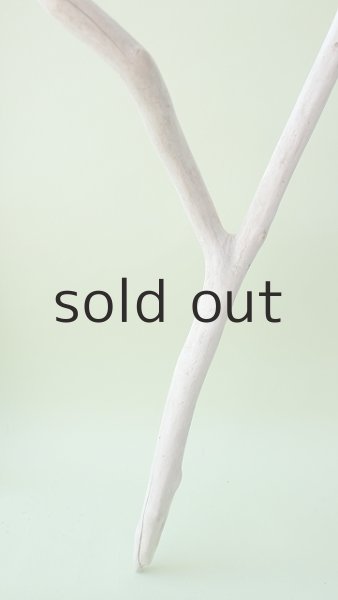 画像6: 枝流木 (6)