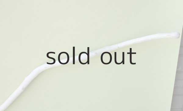 画像5: 枝流木 (5)