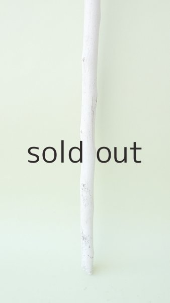 画像2: 枝流木 (2)