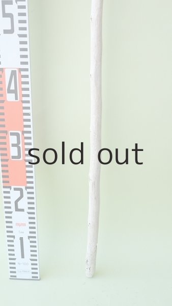 画像5: 枝流木 (5)