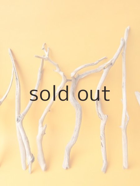 画像3: 小枝流木セット (3)