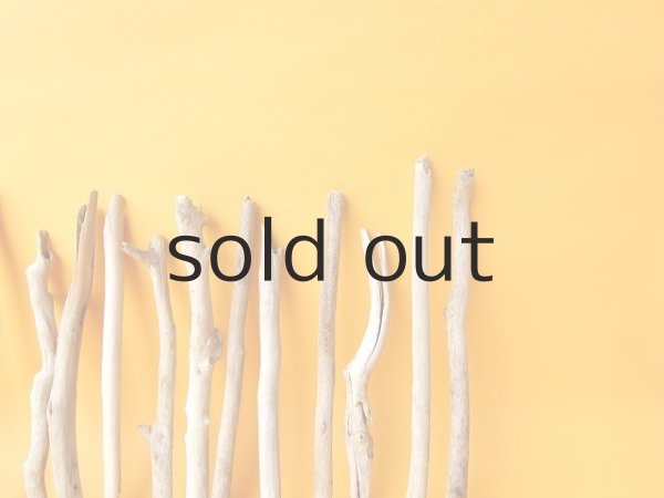 画像7: 小枝流木セット (7)