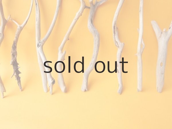 画像5: 小枝流木セット (5)