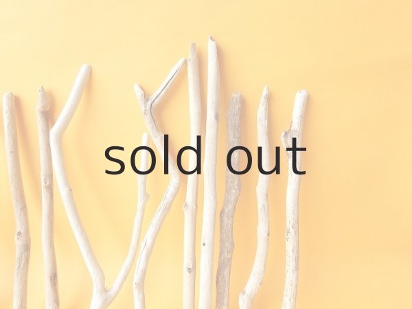 画像7: 小枝流木セット (7)