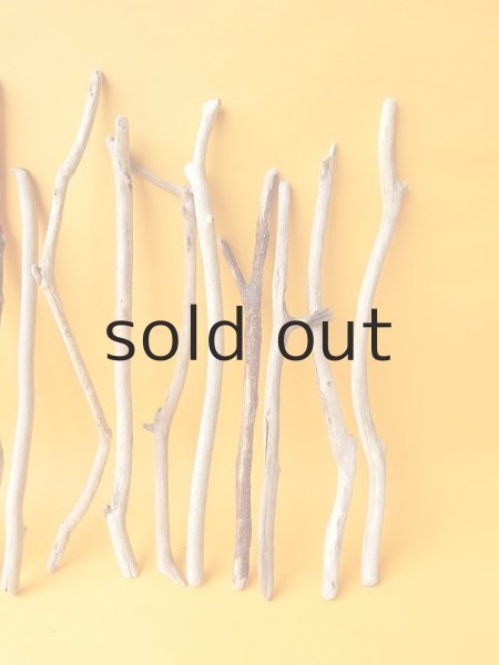 画像4: 小枝流木セット (4)