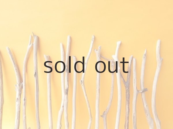 画像6: 小枝流木セット (6)