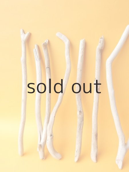 画像2: 小枝流木セット (2)