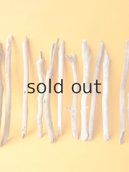 画像3: 小枝流木セット (3)