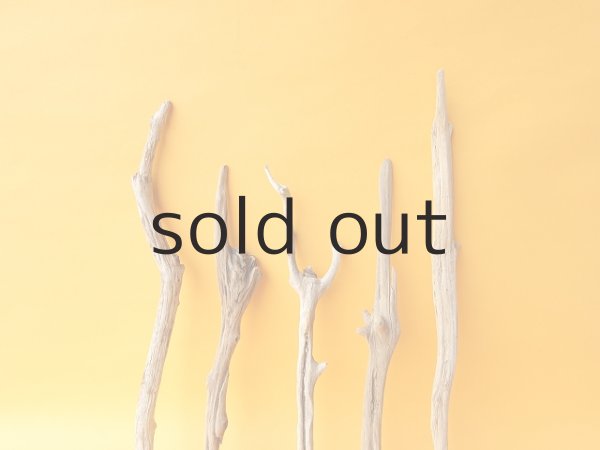 画像3: 小枝流木セット (3)