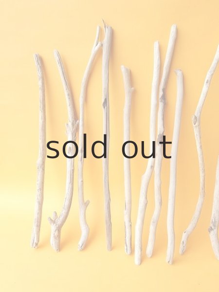 画像2: 小枝流木セット (2)