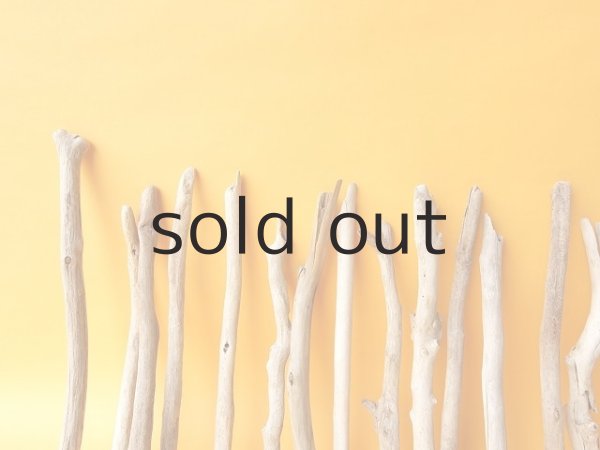 画像6: 小枝流木セット (6)