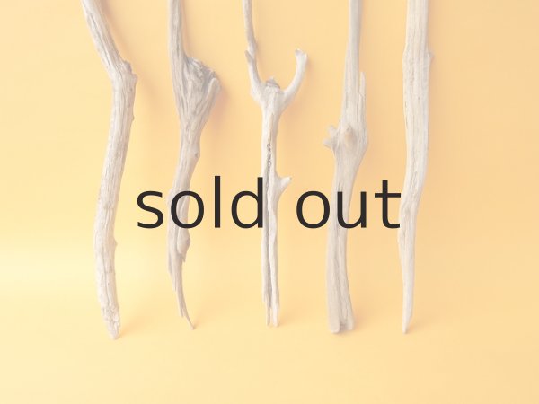 画像2: 小枝流木セット (2)