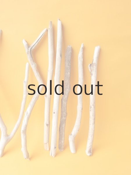 画像4: 小枝流木セット (4)