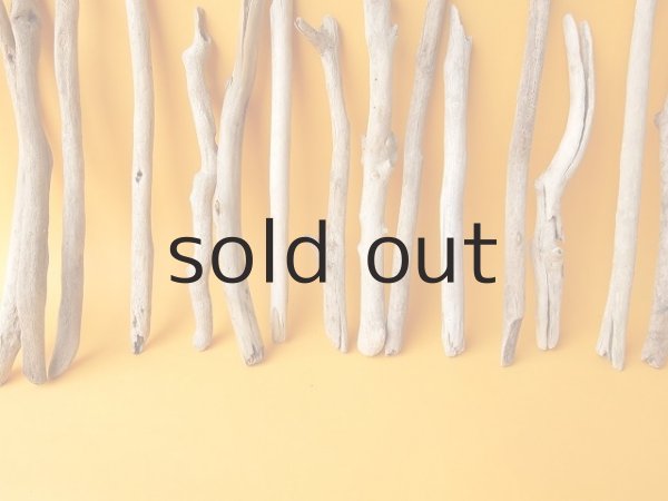 画像5: 小枝流木セット (5)