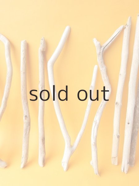 画像3: 小枝流木セット (3)