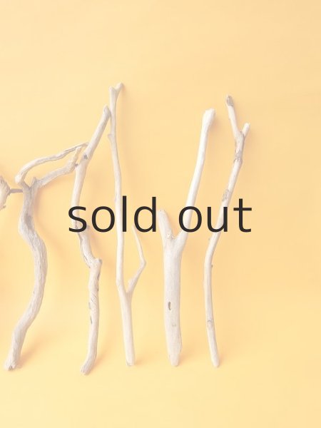 画像4: 小枝流木セット (4)