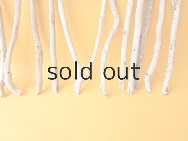 画像5: 小枝流木セット (5)