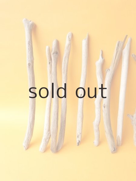 画像2: 小枝流木セット (2)