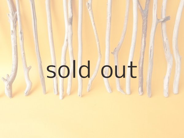 画像5: 小枝流木セット (5)