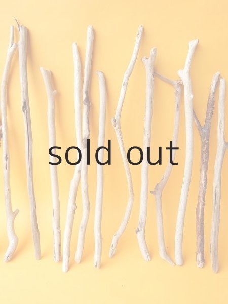 画像3: 小枝流木セット (3)