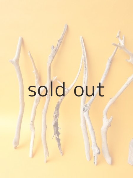 画像2: 小枝流木セット (2)