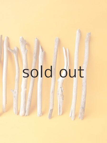 画像4: 小枝流木セット (4)