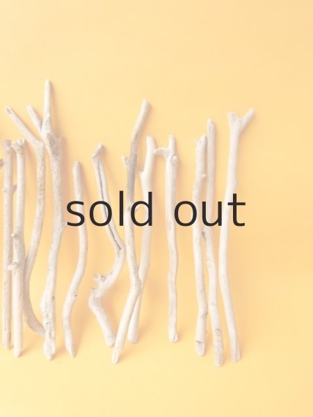 画像4: 小枝流木セット (4)