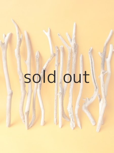 画像3: 小枝流木セット (3)