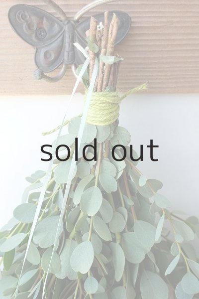 画像2: Dry plants for decor ハートリーフユーカリシンプルスワッグ (2)