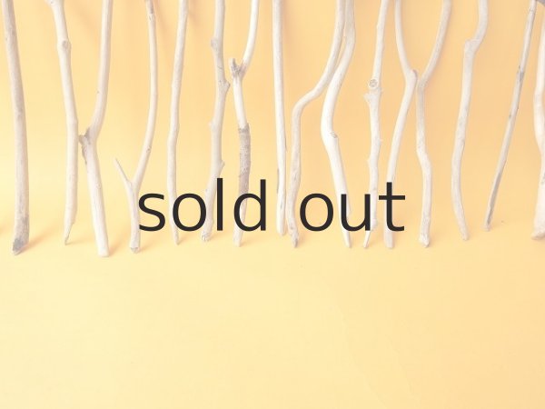 画像5: 小枝流木セット (5)